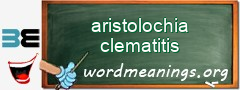 WordMeaning blackboard for aristolochia clematitis
